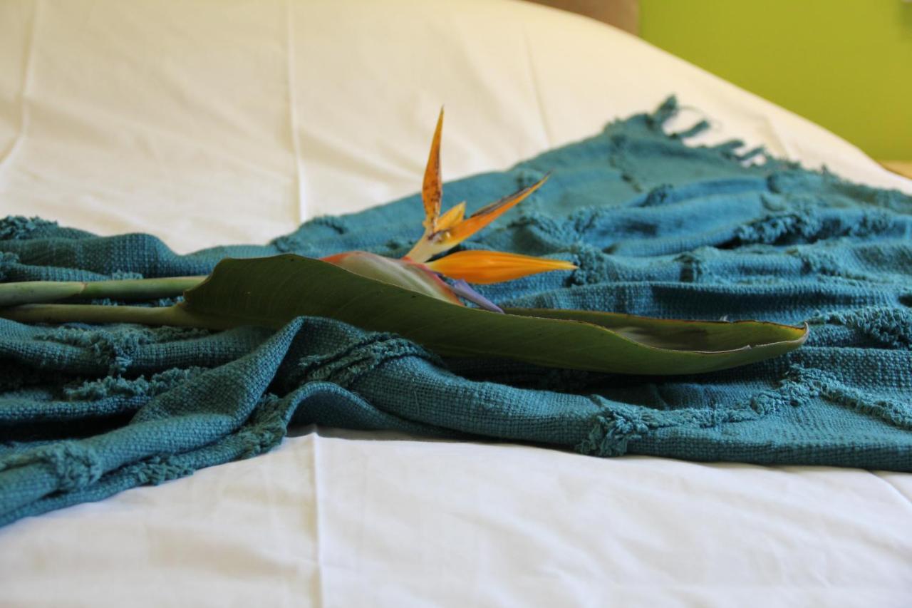 Quinta Do Fojo Valonguinho, Barro Bed & Breakfast Barro  ภายนอก รูปภาพ